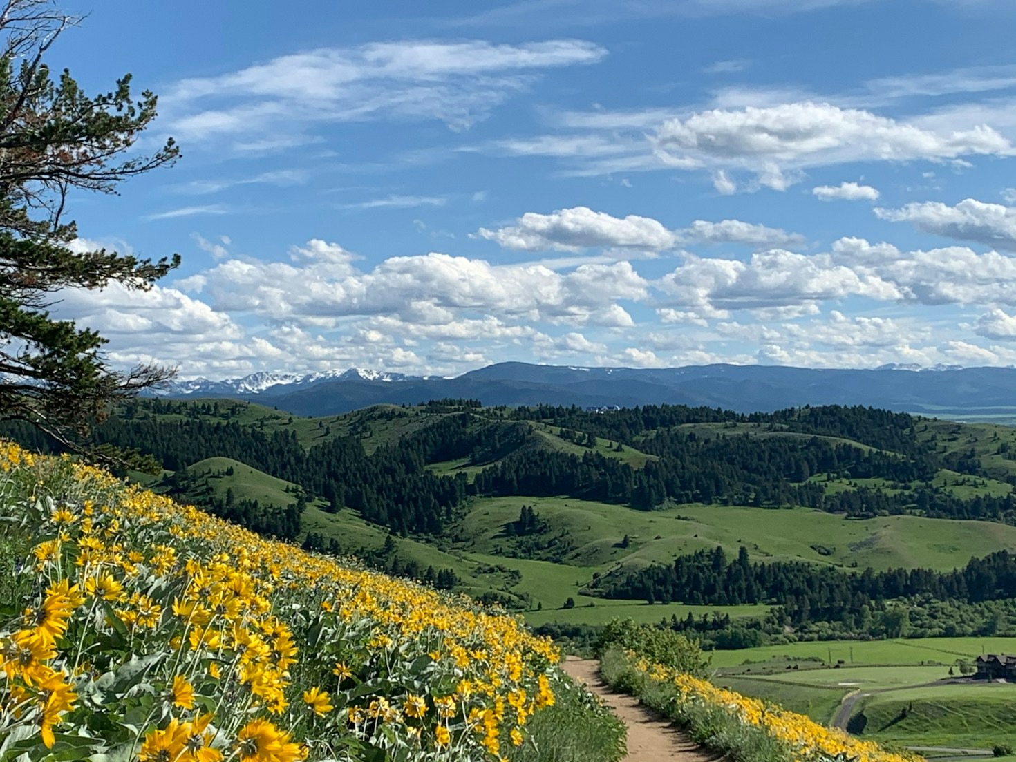 A Week in Bonner: Events to Celebrate